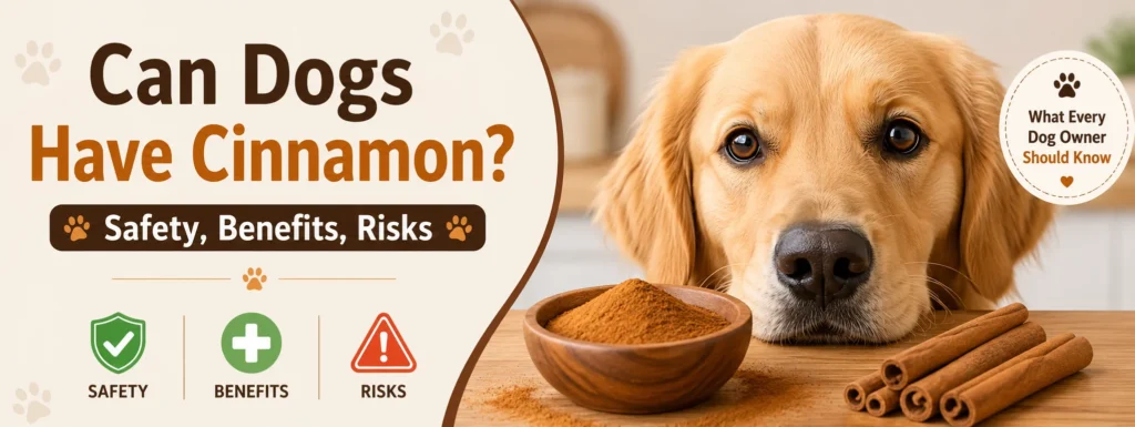 Can Dogs Have Cinnamon