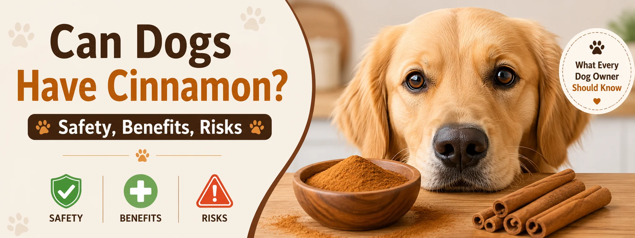 Can Dogs Have Cinnamon