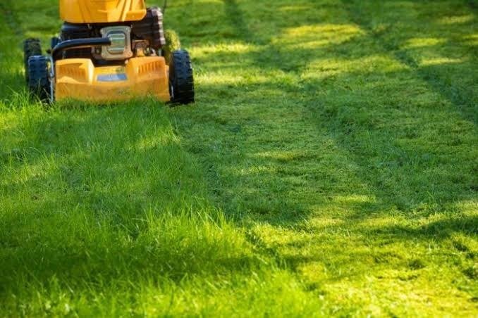 7 Lawn Mowing Hacks Every Homeowner Should Know